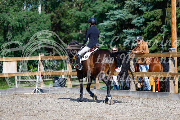 2025 - Haylee - Picco Horse Show - Thursday July 24th 01101