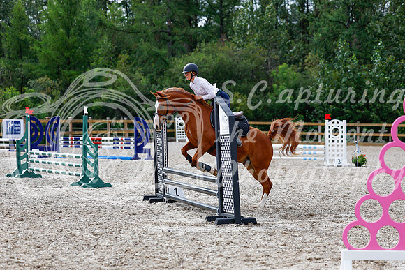 2025 - Haylee - Picco Horse Show - Friay July 25th 00894