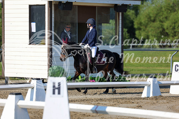 2025 - Dressage Festival - Saturday July 5th - 00646