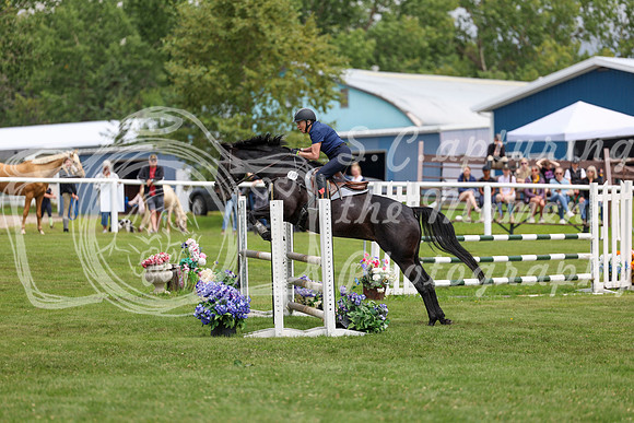 2025 - Shea - Teesdale - Friday July 25th - 07333
