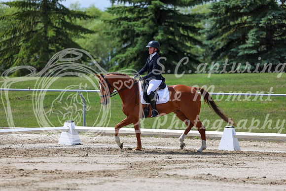 2025 - Dressage Festival - Saturday July 5th - 07994