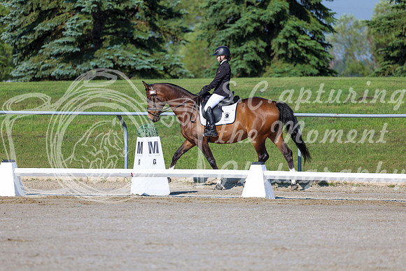 2025 - Dressage Festival - Saturday July 5th - 00415