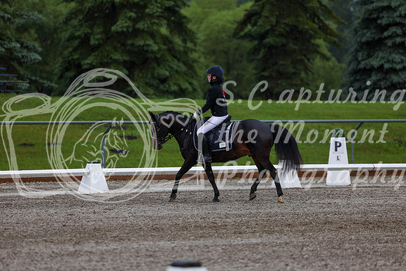 2025 - Dressage Festival - Sunday July 6th - 00168