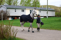 2025 - Shea - Bow Valley II - Friday May 16th - 00062