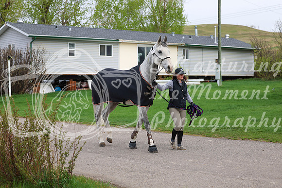 2025 - Shea - Bow Valley II - Friday May 16th - 00062