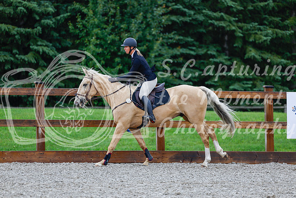 2025 - Haylee - Picco Horse Show - Sunday July 27th 00443