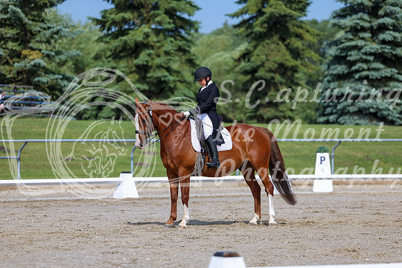 2025 - Dressage Festival - Saturday July 5th - 02614