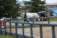 2025 - Shea - Bow Valley II - Friday May 16th - 00005