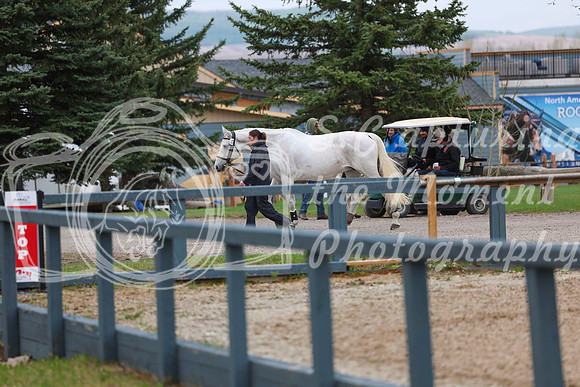 2025 - Shea - Bow Valley II - Friday May 16th - 00005
