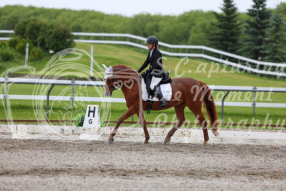 2025 - Dressage Festival - Sunday July 6th - 06101