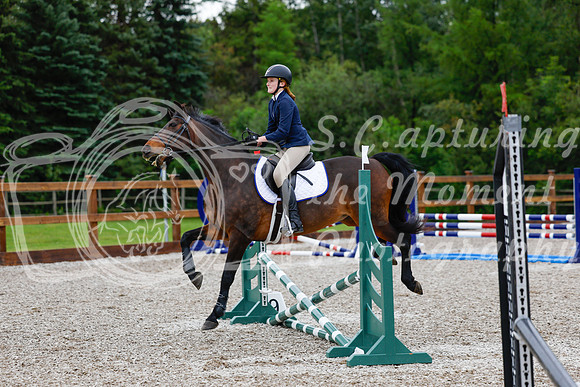 2025 - Haylee - Picco Horse Show - Friay July 25th 00122
