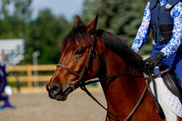 2025 - Haylee - Picco Horse Show - Thursday July 24th 00542