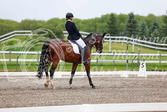 2025 - Dressage Festival - Sunday July 6th - 04263