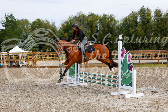 2025 - Haylee - Picco Horse Show - Friay July 25th 00642