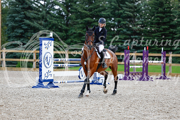 2025 - Haylee - Picco Horse Show - Sunday July 27th 04930