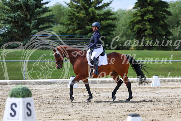 2025 - Dressage Festival - Saturday July 5th - 09728