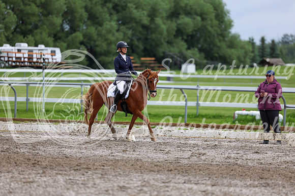 2025 - Dressage Festival - Sunday July 6th - 12310