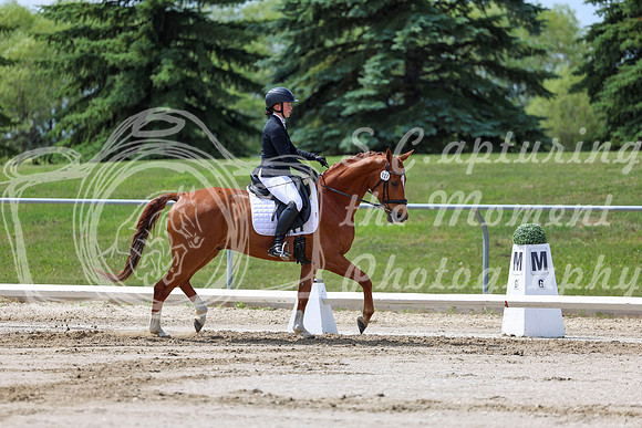 2025 - Dressage Festival - Saturday July 5th - 07863