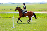 2025 - Shea - Teesdale - Thursday July 24th - 02253