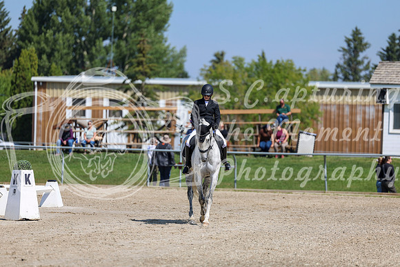 2025 - Dressage Festival - Saturday July 5th - 04735