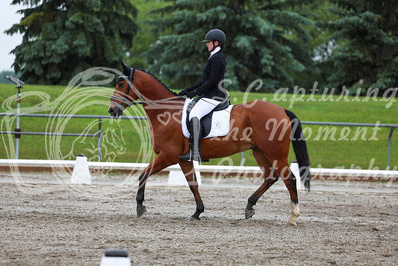2025 - Dressage Festival - Sunday July 6th - 07318