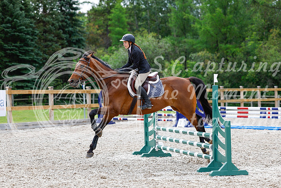 2025 - Haylee - Picco Horse Show - Friay July 25th 01388