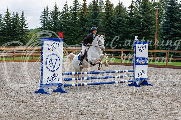 2025 - Haylee - Picco Horse Show - Sunday July 27th 01986