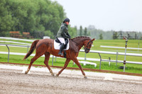 2025 - Dressage Festival - Sunday July 6th - 03594