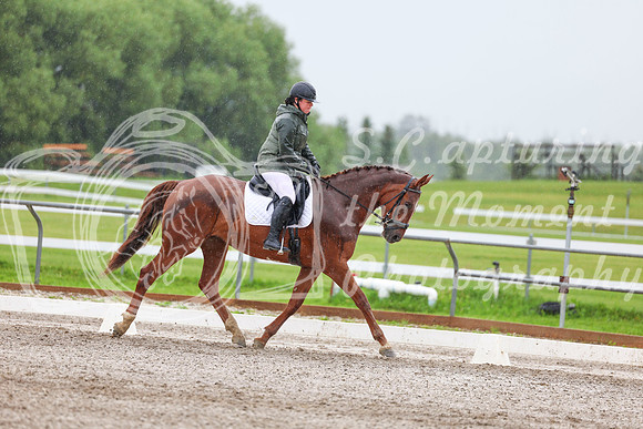 2025 - Dressage Festival - Sunday July 6th - 03594