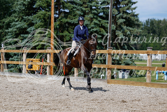 2025 - Haylee - Picco Horse Show - Thursday July 24th 02625