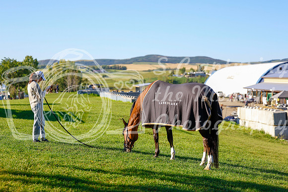 2025 - Haylee - Rocky Mountain Classic III - Thursday August 21st - 03110