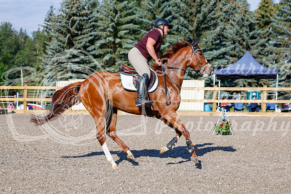 2025 - Haylee - Picco Horse Show - Thursday July 24th 00249