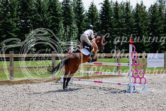 2025 - Haylee - Picco Horse Show - Thursday July 24th 03748