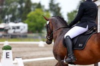 2025 - Dressage Festival - Sunday July 6th - 09016