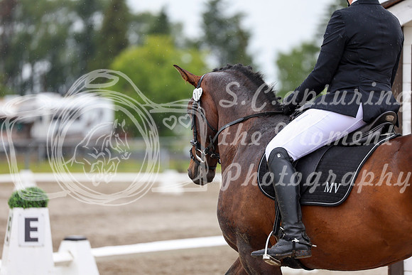 2025 - Dressage Festival - Sunday July 6th - 09016