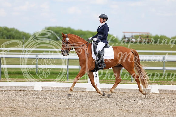 2025 - Dressage Festival - Saturday July 5th - 12490