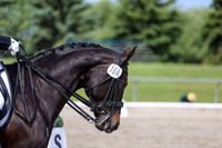 2025 - Dressage Festival - Saturday July 5th - 03558