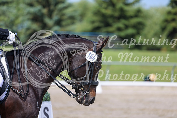 2025 - Dressage Festival - Saturday July 5th - 03558