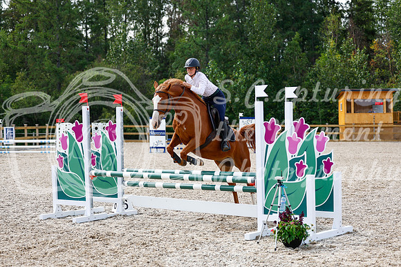 2025 - Haylee - Picco Horse Show - Thursday July 24th 01589