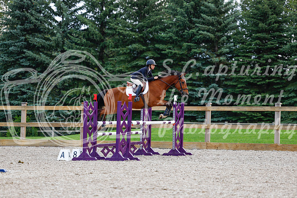 2025 - Haylee - Picco Horse Show - Sunday July 27th 04886