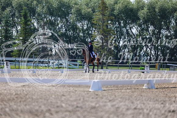 2025 - Dressage Festival - Saturday July 5th - 02319