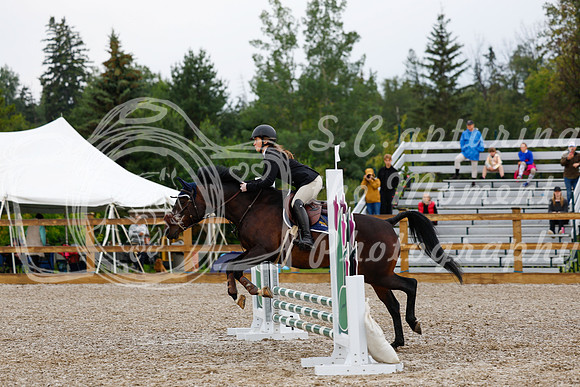 2025 - Haylee - Picco Horse Show - Sunday July 27th 00578