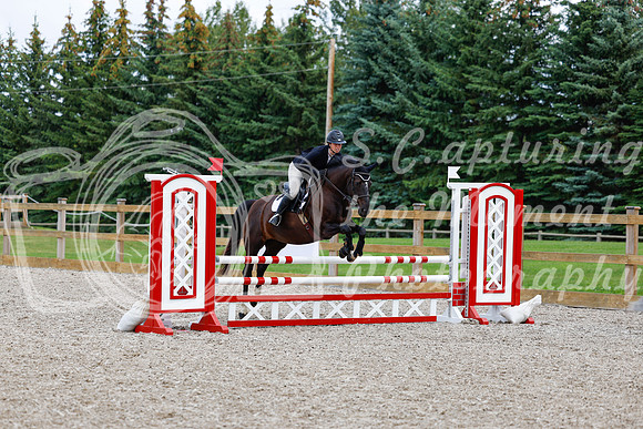 2025 - Haylee - Picco Horse Show - Saturday July 26th 06224