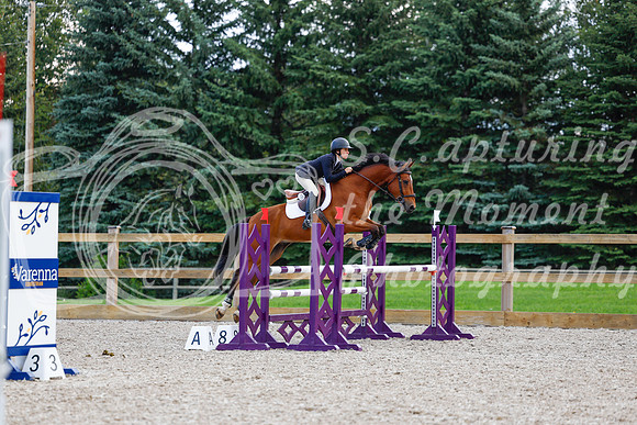 2025 - Haylee - Picco Horse Show - Sunday July 27th 04882