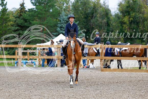2025 - Haylee - Picco Horse Show - Saturday July 26th 04104