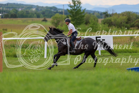2025 - Shea - Teesdale - Thursday July 24th - 05463