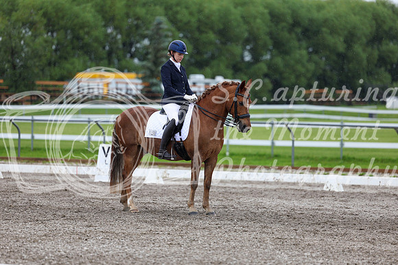 2025 - Dressage Festival - Sunday July 6th - 07634
