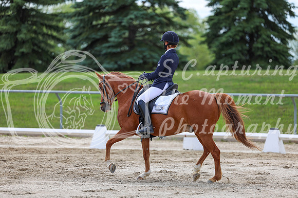 2025 - Dressage Festival - Saturday July 5th - 13793