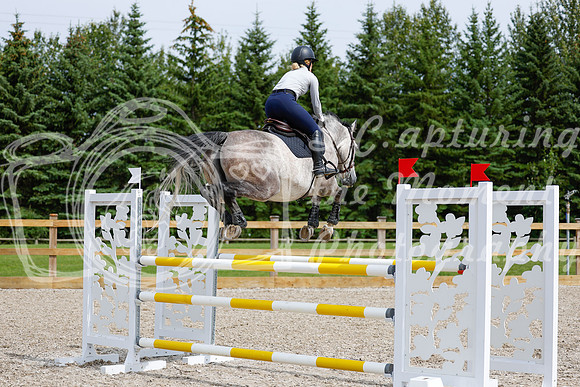 2025 - Haylee - Picco Horse Show - Friay July 25th 04412