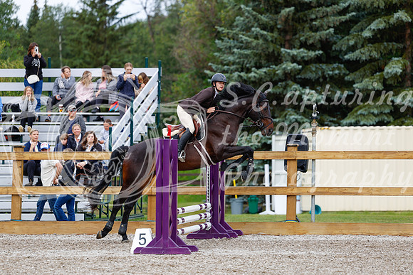 2025 - Haylee - Picco Horse Show - Friay July 25th 00435